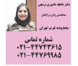 متخصص لابیاپلاستی در دریاچه چیتگر
